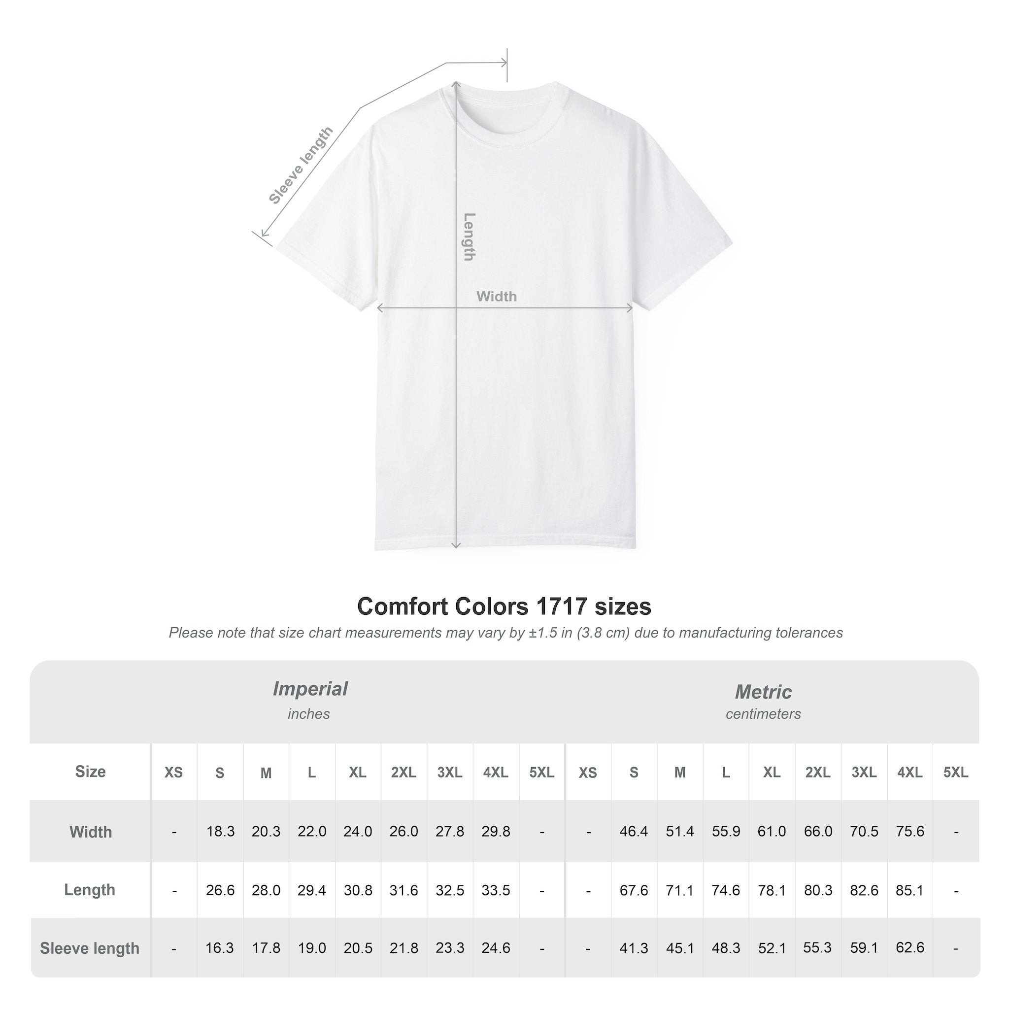 Game Day Tiger Comfort Colors T-Shirt — Vintage Athletic Graphic “Hide Our Pride”