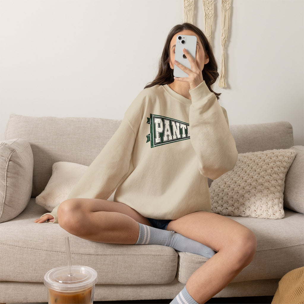 Panthers Pennant Crewneck Sweatshirt