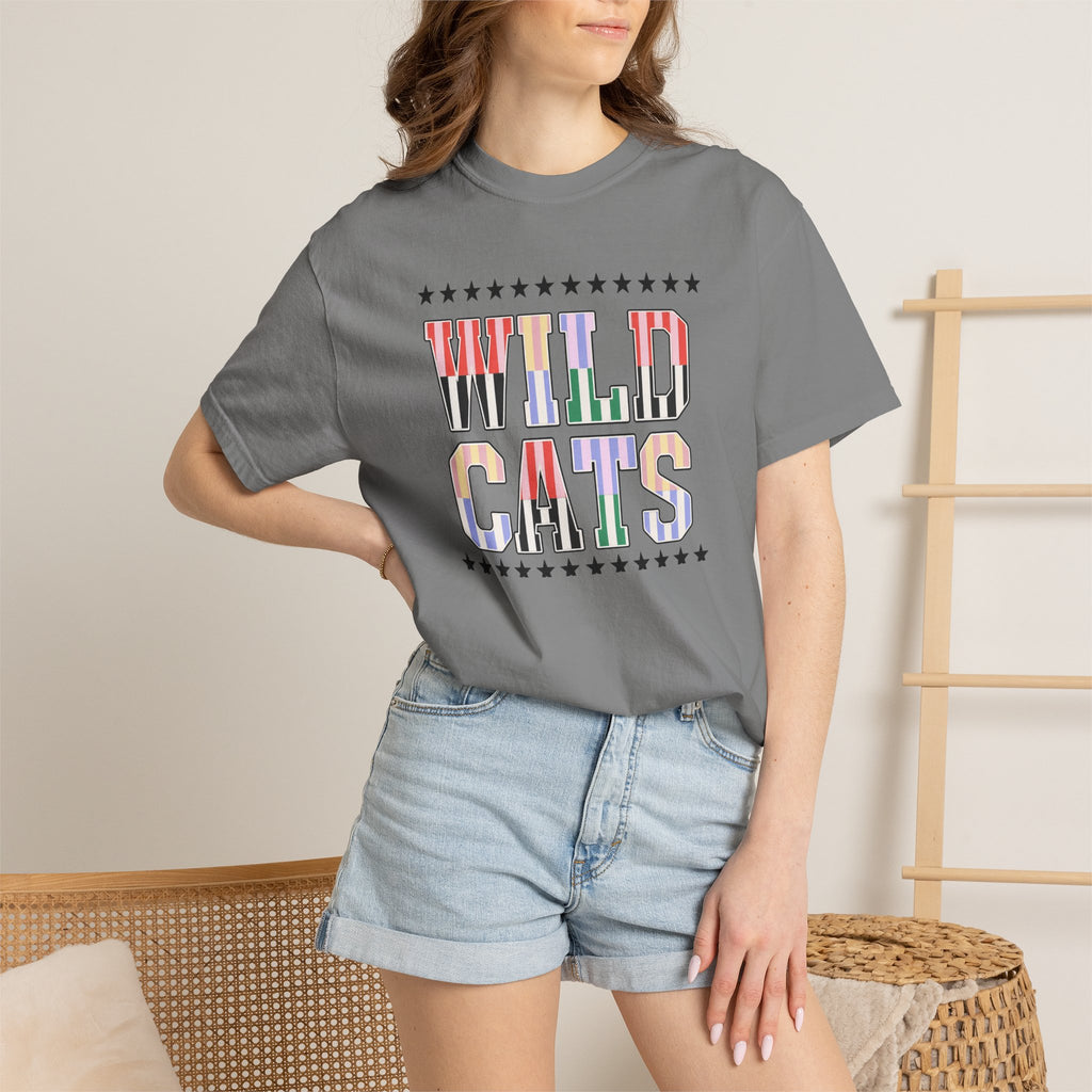 Wild Cats Graphic T-Shirt — Colorful Retro Lettering Tee