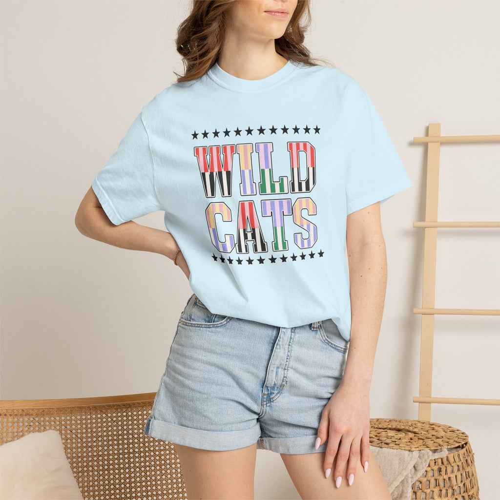 Wild Cats Graphic T-Shirt — Colorful Retro Lettering Tee
