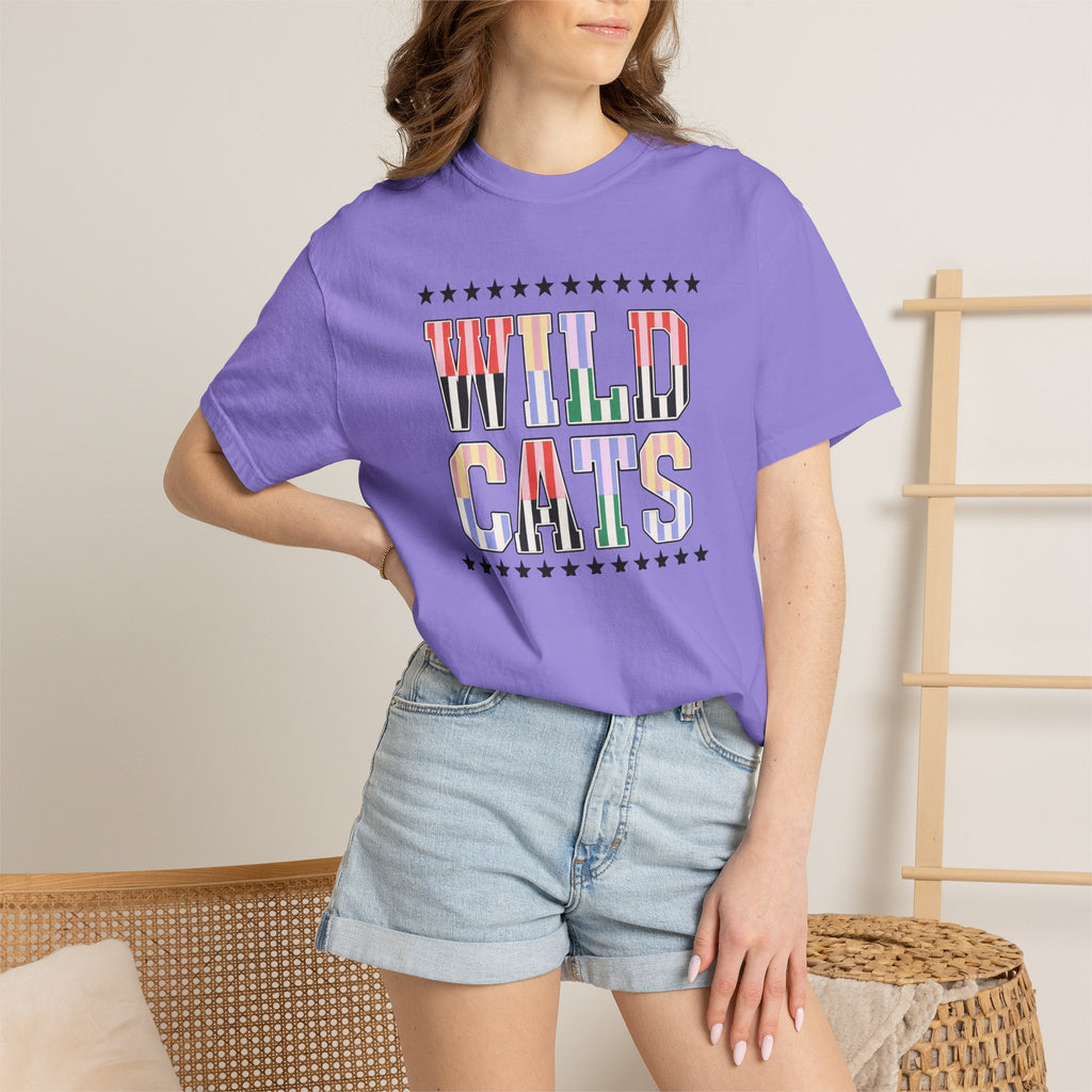 Wild Cats Graphic T-Shirt — Colorful Retro Lettering Tee
