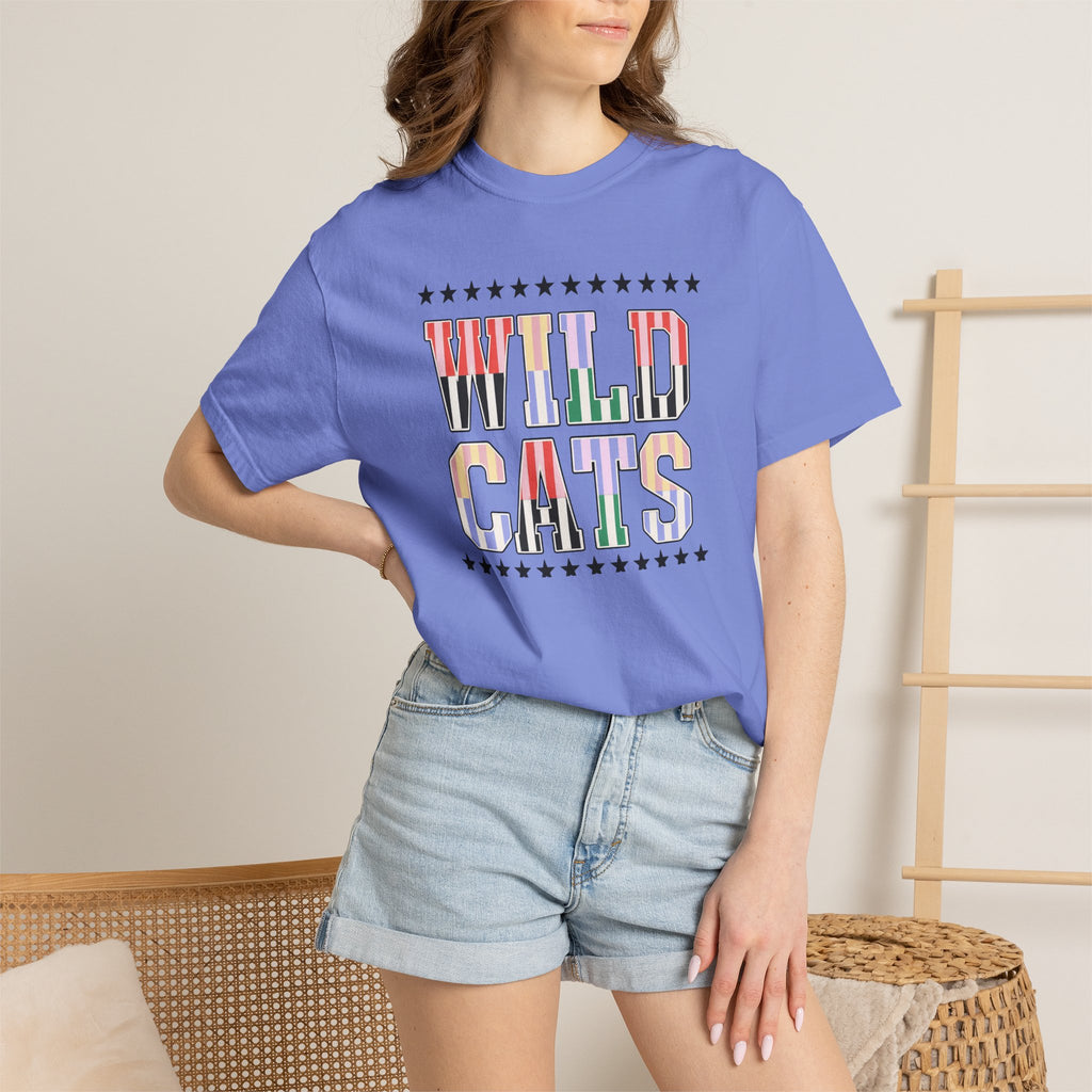 Wild Cats Graphic T-Shirt — Colorful Retro Lettering Tee