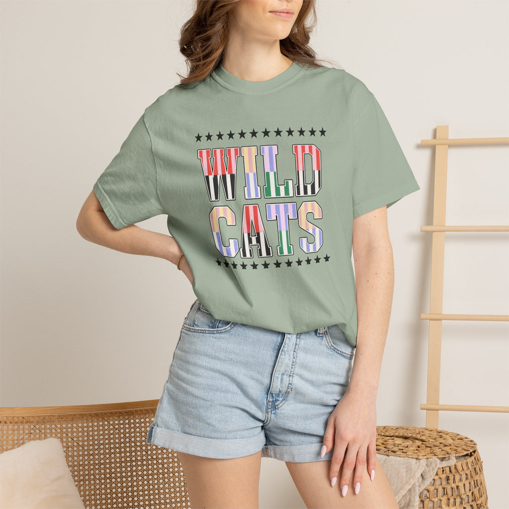 Wild Cats Graphic T-Shirt — Colorful Retro Lettering Tee