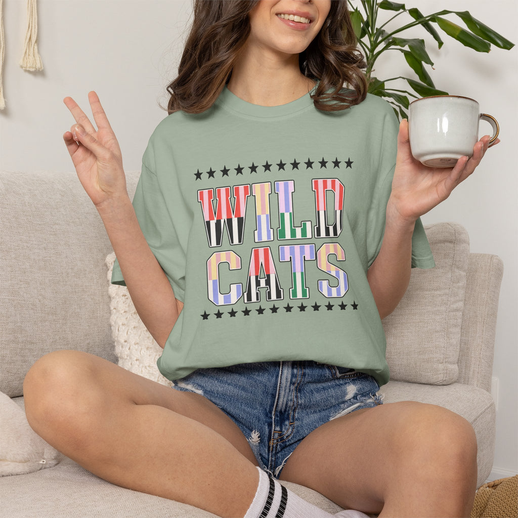 Wild Cats Graphic T-Shirt — Colorful Retro Lettering Tee