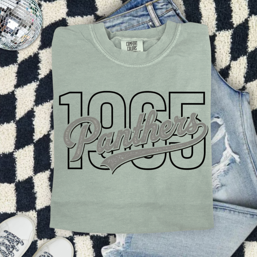 Panthers 1965 Retro Graphic Comfort Colors T-Shirt
