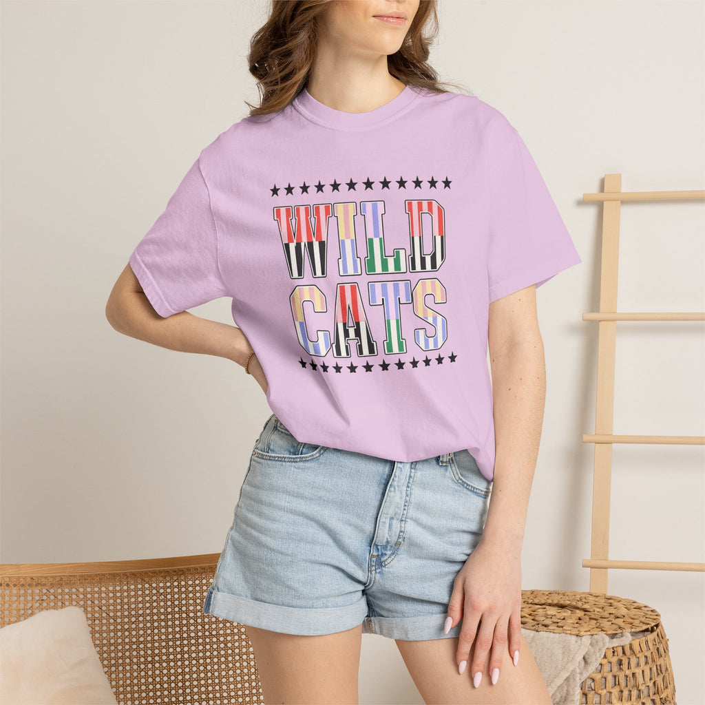 Wild Cats Graphic T-Shirt — Colorful Retro Lettering Tee