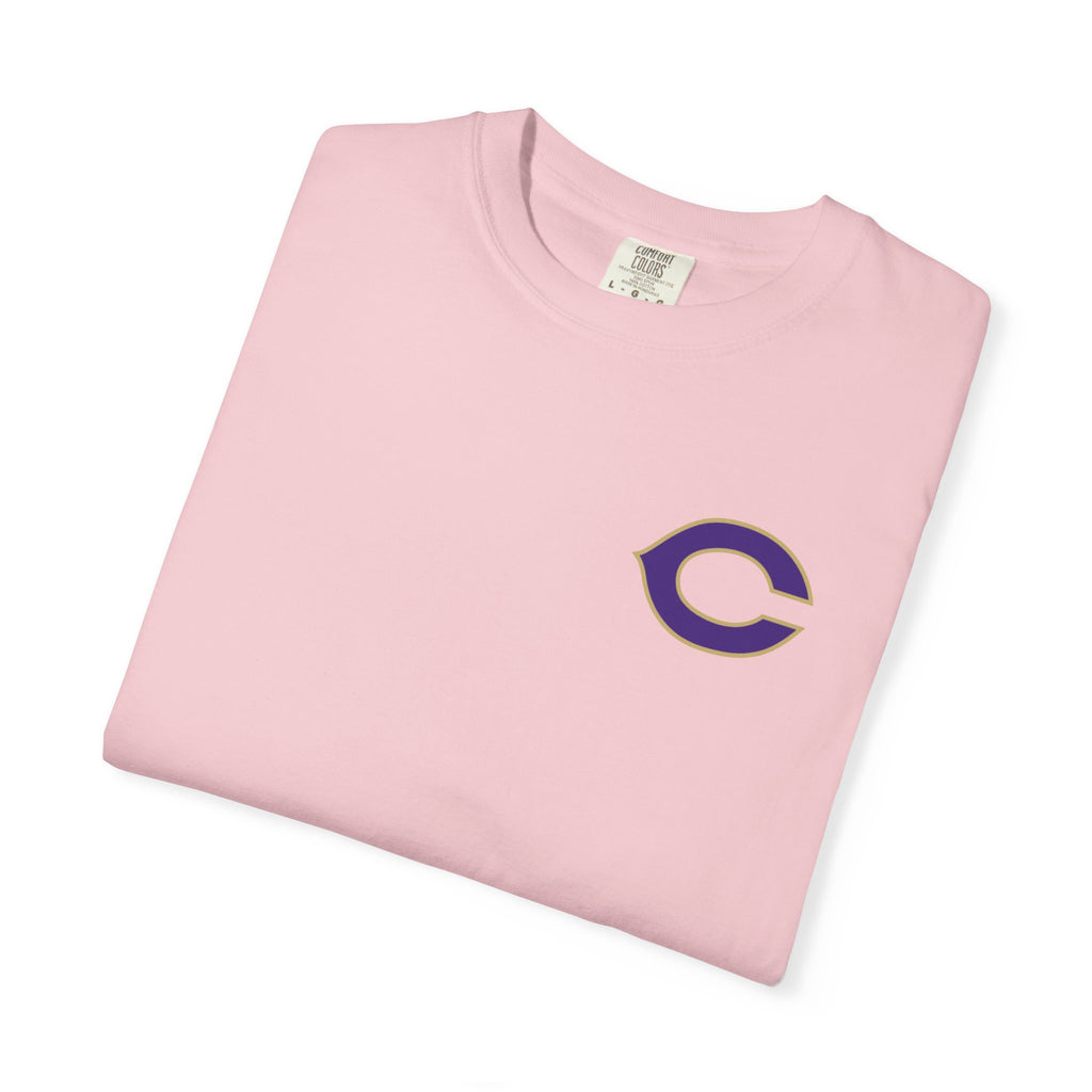Meet Me at Memorial Stadium T-Shirt