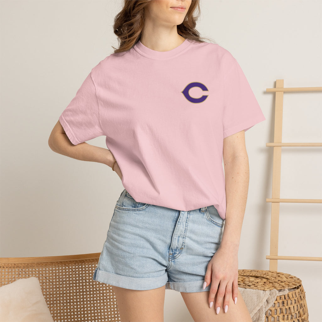 Meet Me at Memorial Stadium T-Shirt