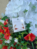 Sealife Beach Fish Lobster 2 Pair Earrings