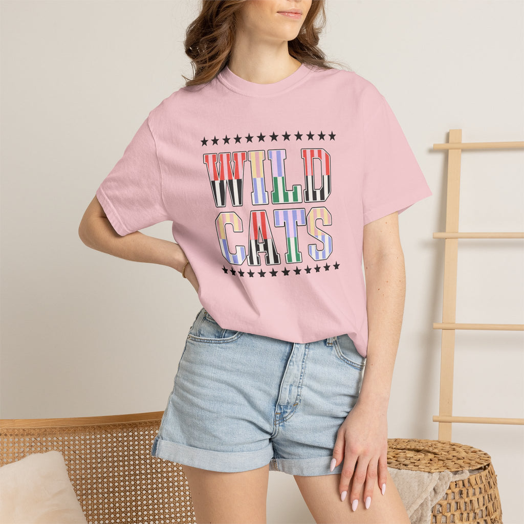 Wild Cats Graphic T-Shirt — Colorful Retro Lettering Tee