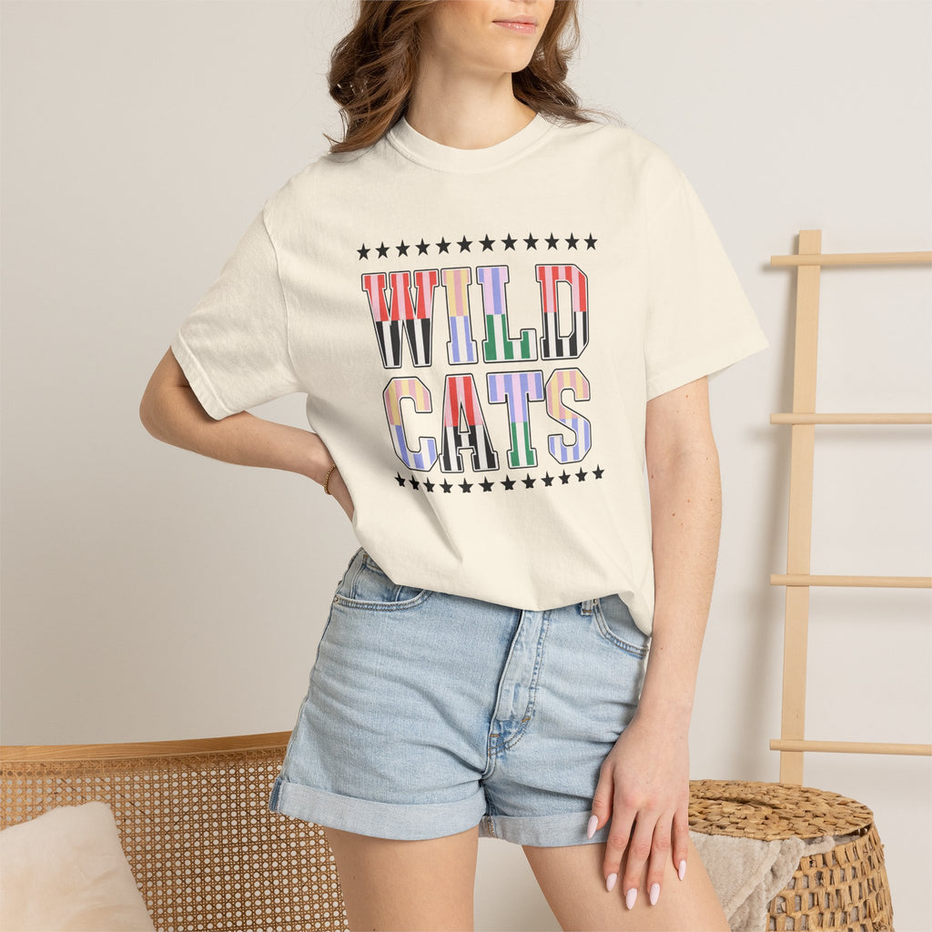 Wild Cats Graphic T-Shirt — Colorful Retro Lettering Tee